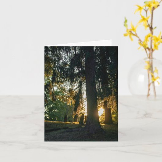 心地良い夕日 カード (黄色い花)