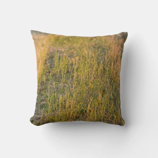 心地良い自然 クッション (正面)