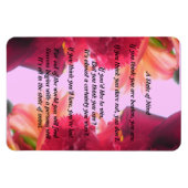 心州 マグネット (横)