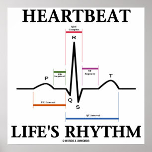心拍の生命のリズム(ECG/EKGの心拍) ポスター