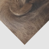 心拍の間に止まるライオンのリスの切り離し 薄葉紙 (詳細)