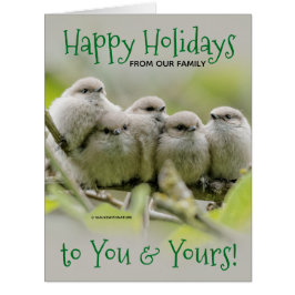 心温まるソンバーズファミリークリスマスホリデー