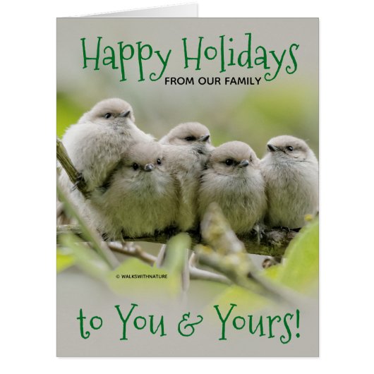 心温まるソンバーズファミリークリスマスホリデー (正面)