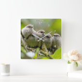 心温まる可愛いブシュティッツソングバーズ家族写真 スクエア壁時計 (ホーム)