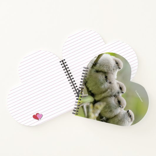 心温まる可愛いブシュティッツソングバーズ家族写真 ノートブック (内部)