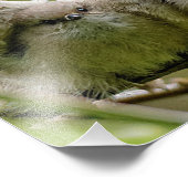 心温まる可愛いブシュティッツソングバーズ家族写真 フォトプリント            (角)