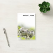 心温まる可愛いブシュティッツソングバーズ家族写真 ポストイット (オフィス)