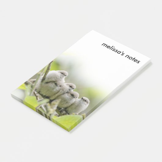 心温まる可愛いブシュティッツソングバーズ家族写真 ポストイット (アングル)