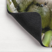 心温まる可愛いブシュティッツソングバーズ家族写真 マウスパッド (コーナー)