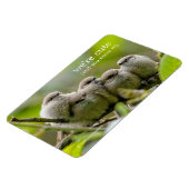 心温まる可愛いブシュティッツソングバーズ家族写真 マグネット (左側)