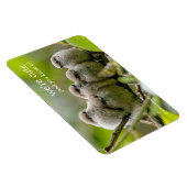 心温まる可愛いブシュティッツソングバーズ家族写真 マグネット (右側)