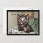 心温まる ポストカード (正面/裏面)