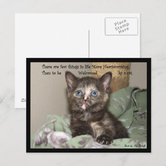 心温まる ポストカード (正面/裏面)