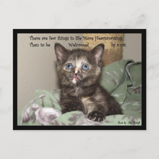 心温まる ポストカード (正面)