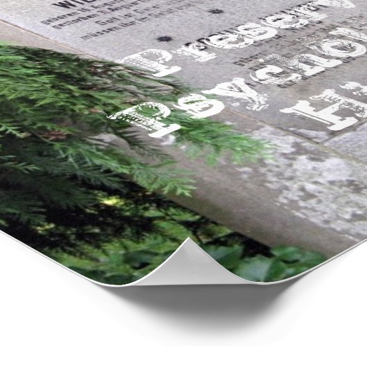 心理学の歴史を保存 ポスター (角)