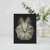 心筋 ポストカード (スタンド正面)