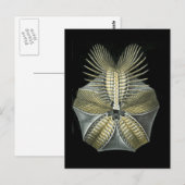 心筋 ポストカード (正面/裏面)