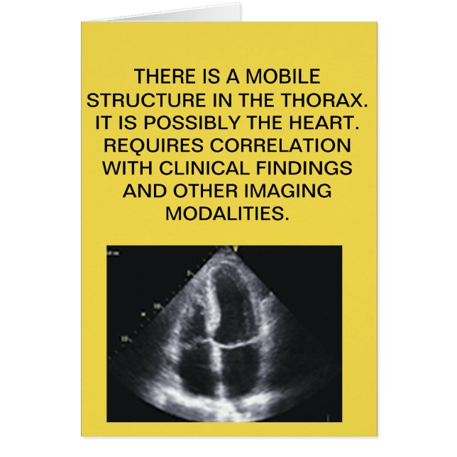 心臓エコーの成績表 (正面)