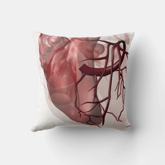 心臓学の枕 クッション (裏面)