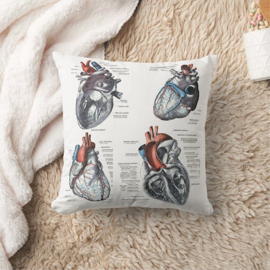 心臓学医の枕 クッション (ブランケット)