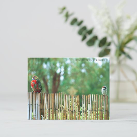 心違う ポストカード (スタンド正面)