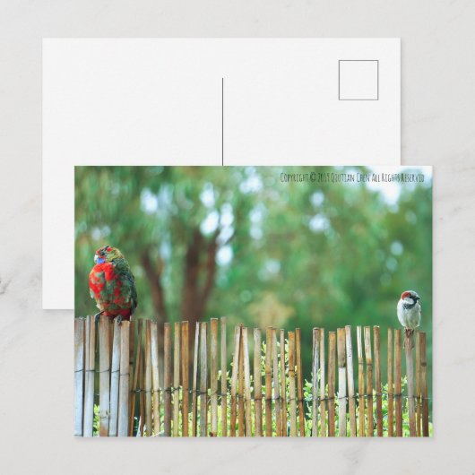 心違う ポストカード (正面/裏面)