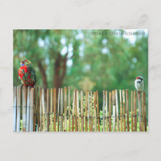 心違う ポストカード