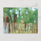 心違う ポストカード (正面)