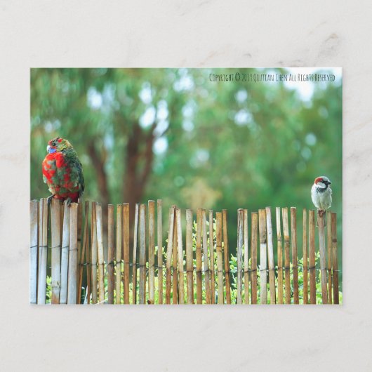 心違う ポストカード (正面)