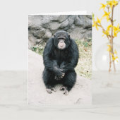 心配したチンパンジー787900-R1-13Azz カード (黄色い花)