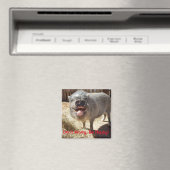 心配しないで、幸せになる、豚の正方形の磁石 マグネット (インサイチュ (食洗機))