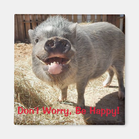 心配しないで、幸せになる、豚の正方形の磁石 マグネット (正面)