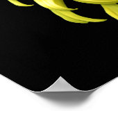 心配するな ポスター (角)