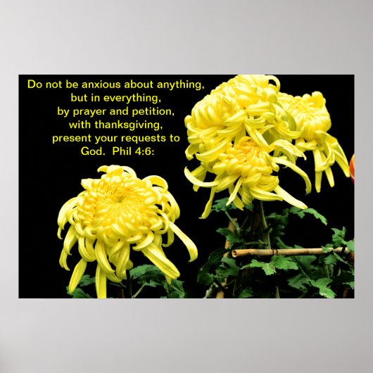 心配するな ポスター (正面)