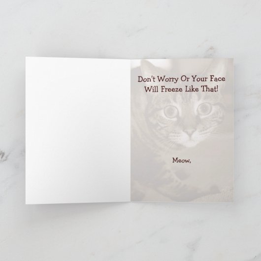 心配な猫 カード (内部)