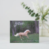 心配は放します ポストカード (スタンド正面)