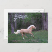 心配は放します ポストカード (正面/裏面)