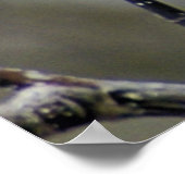 必ず春、チューリップツリー開花 ポスター (角)