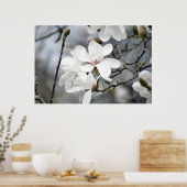 必ず春、チューリップツリー開花 ポスター (キッチン)