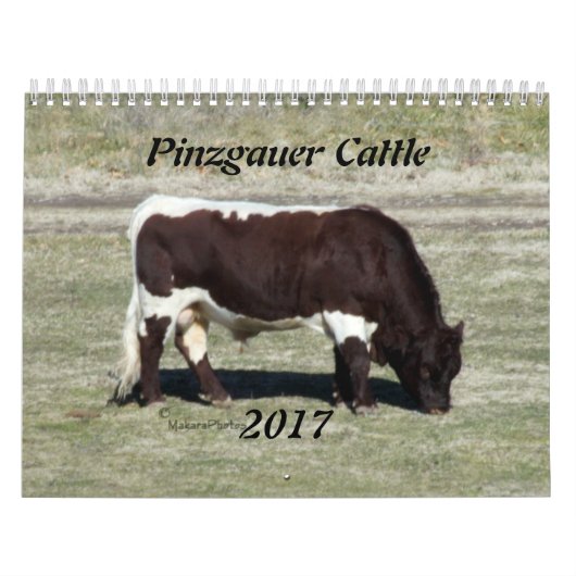 必要とされる2017年のPinzgauerのカレンダー変更年 カレンダー (カバー)