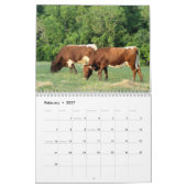 必要とされる2017年のPinzgauerのカレンダー変更年 カレンダー (2月 2027)