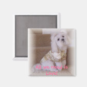 必要なのは愛だけだ! マグネット (正面/裏面)