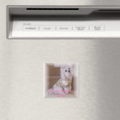 必要なのは愛だけだ! マグネット (インサイチュ (食洗機))