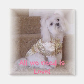 必要なのは愛だけだ! マグネット