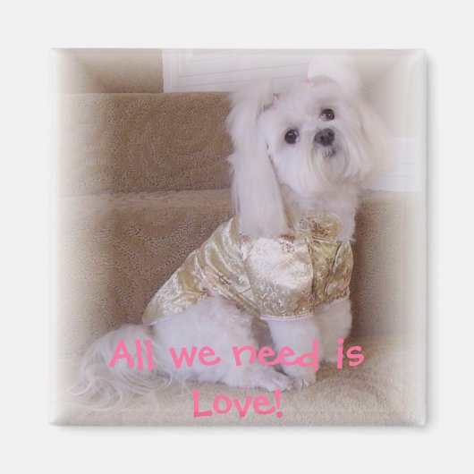 必要なのは愛だけだ! マグネット (正面)