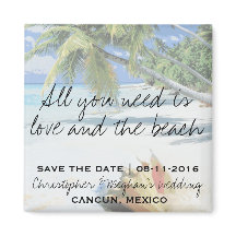 必要なのは愛とビーチ救日