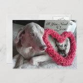 必要なのは愛と犬(レイナ) ポストカード (正面/裏面)