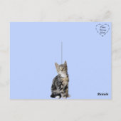 必要なのは愛と猫 ポストカード (裏面)