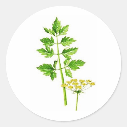 必要なのはLovage ラウンドシール (正面)