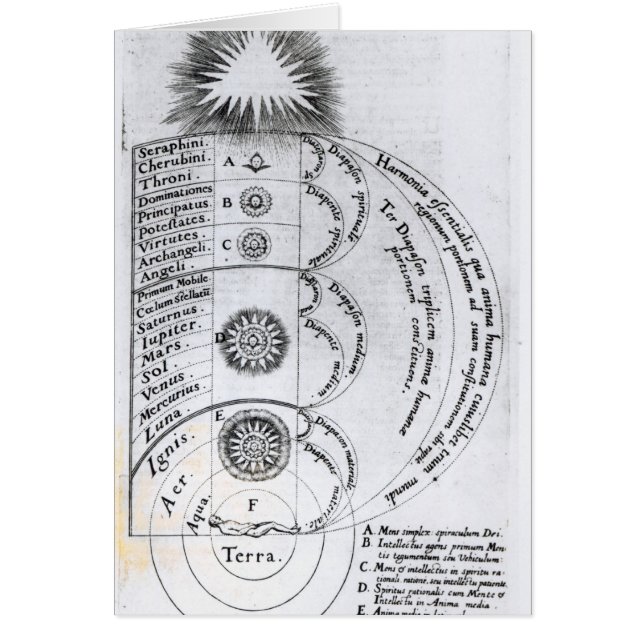 必要な調和 (正面)